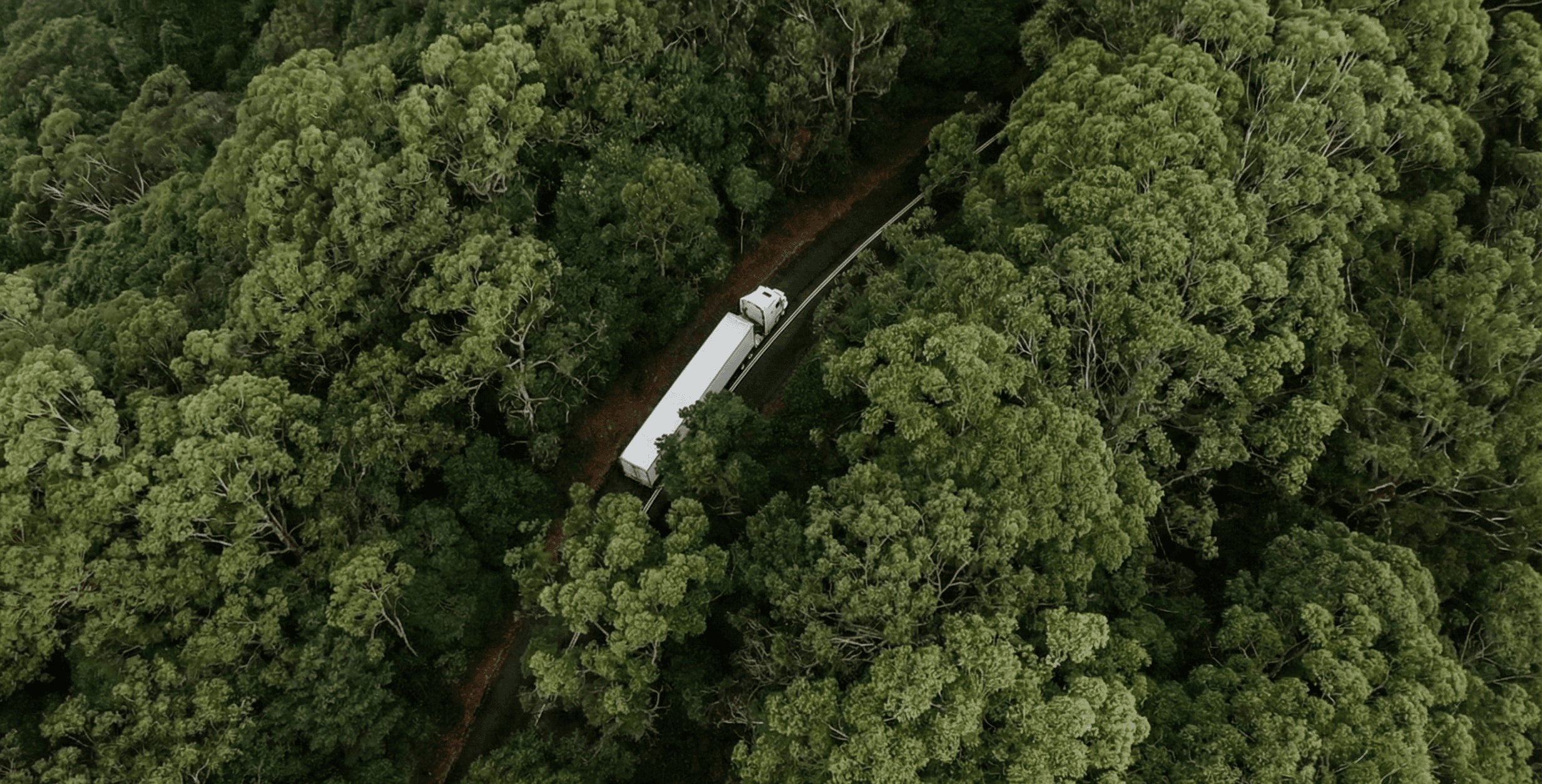 Road Freight Solutions